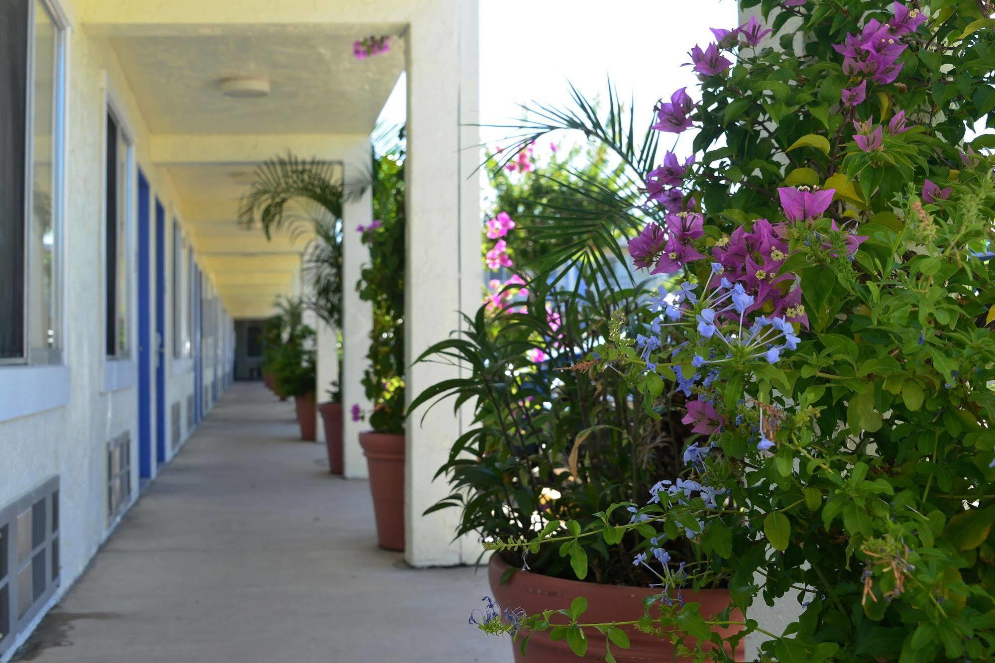 Americas Best Value Inn Bradenton-Sarasota Εξωτερικό φωτογραφία